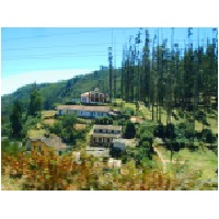 From train,Ooty.JPG